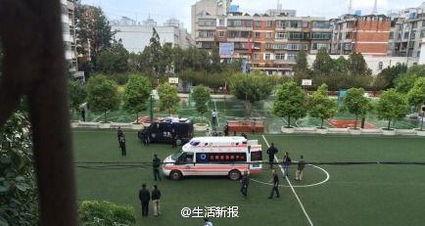 云南小学爆料事件最新消息,真相揭开，家长震惊不已