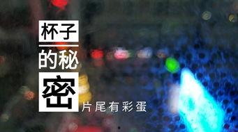 山东饭店爆料视频最新,揭露惊人内幕，真相令人震惊