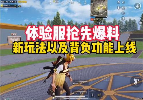 爆料体验服最新玩法大全,爆料大全带你领略游戏新境界