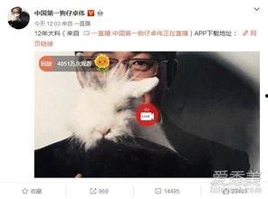 咸阳出轨爆料事件最新,真相大白，当事人身份及细节曝光