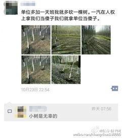 长春保卫团最新爆料,揭秘战地幕后英雄壮举